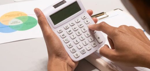 fraude fiscale