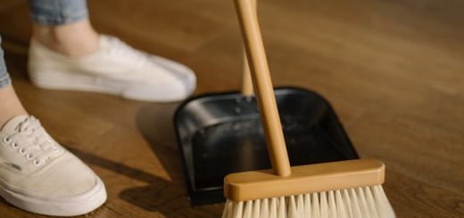 emploi d'un salarié à domicile